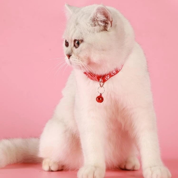 Color Bell Decor Pet Collar - Picture 2 of 3